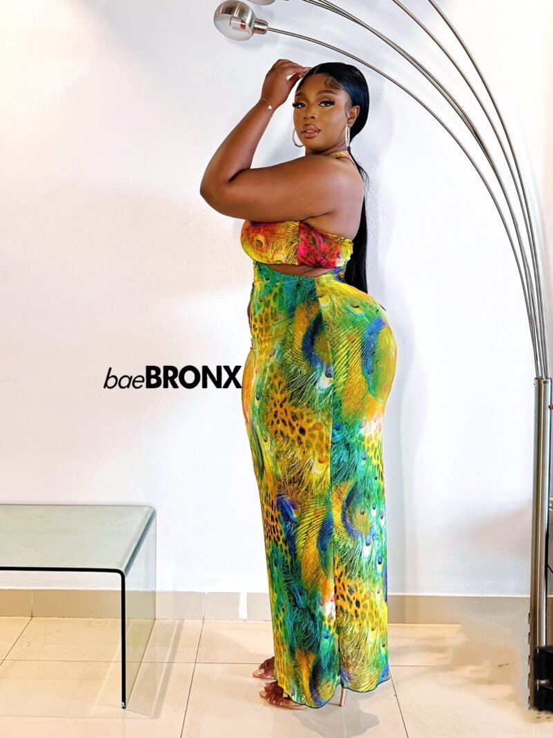 Peacock Variant Long Gown - Image 3