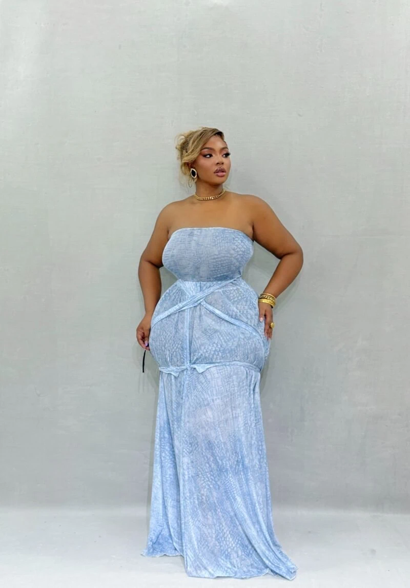 The Elegant Lady Maxi Dress(AQUA BLUE) - Image 4