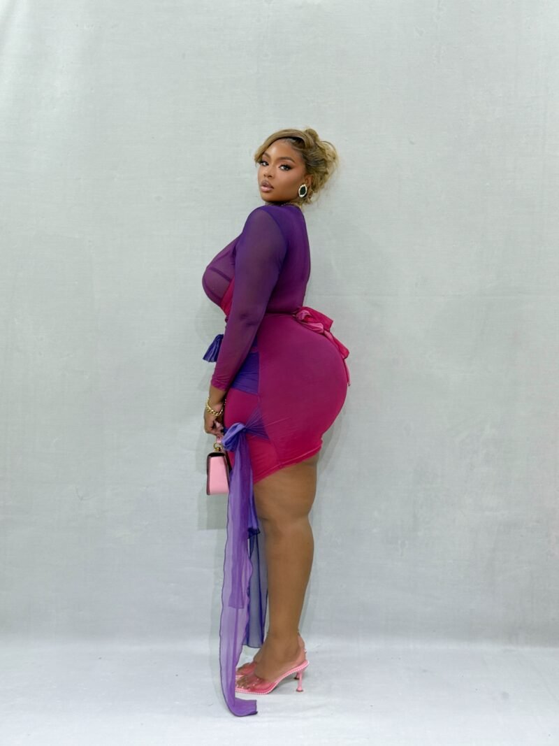 Purple Rain Sheer Mini Dress - Image 4